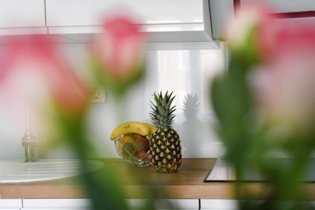 זאדאר Apartment Lant מראה חיצוני תמונה